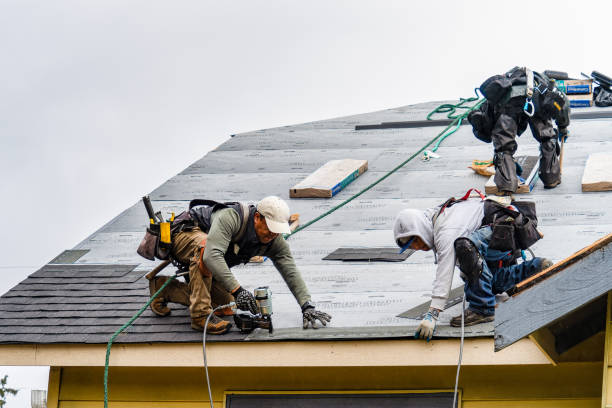 Professional Storm Damage Roof Repair technician working in Belvidere, NJ